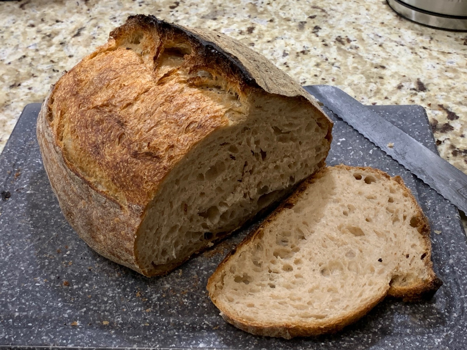 Active Dehydrated Sourdough Starter – Live Wild Yeast Culture for Bread Baking