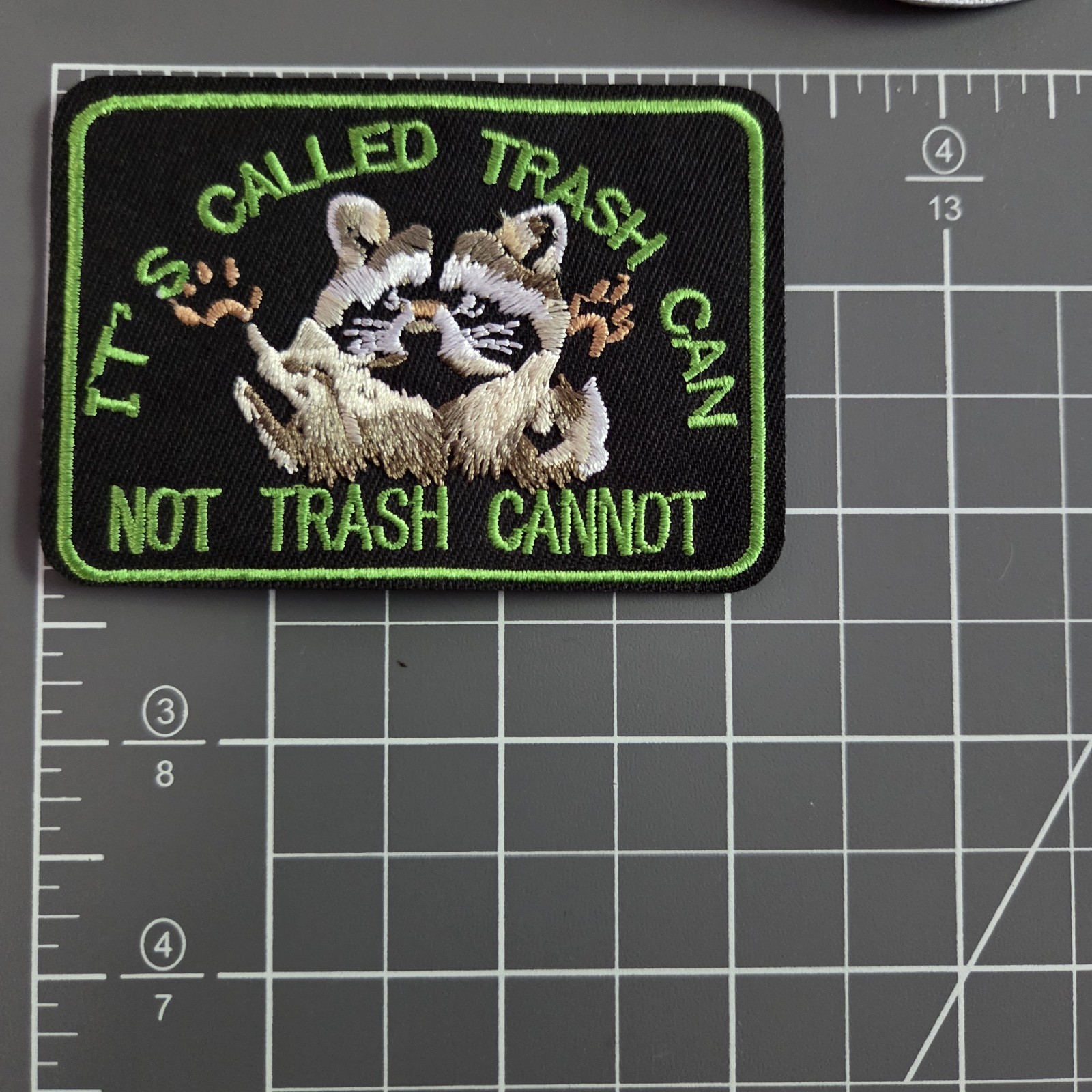 It's Called A Trash Can Not Trash Cannot Funny Garbage Panda Iron on Patch