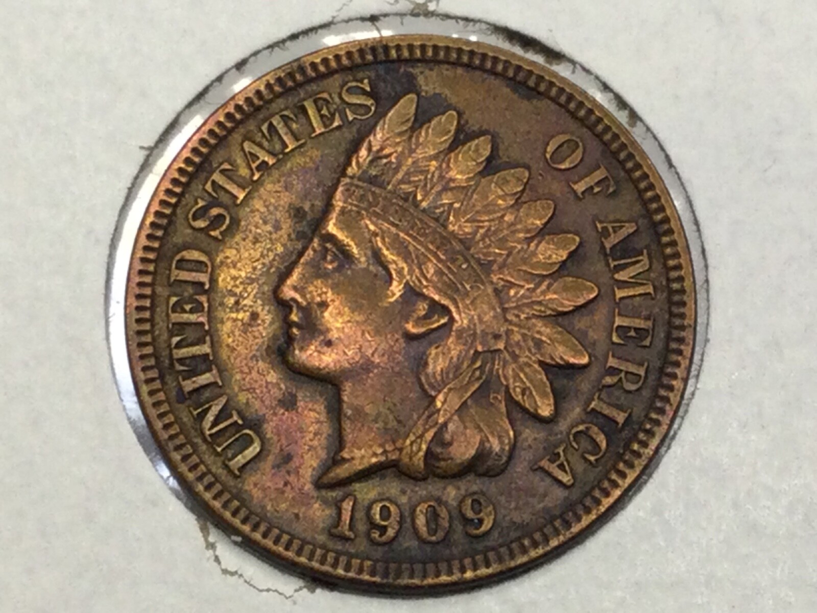 1909  Indian Cent in extra fine