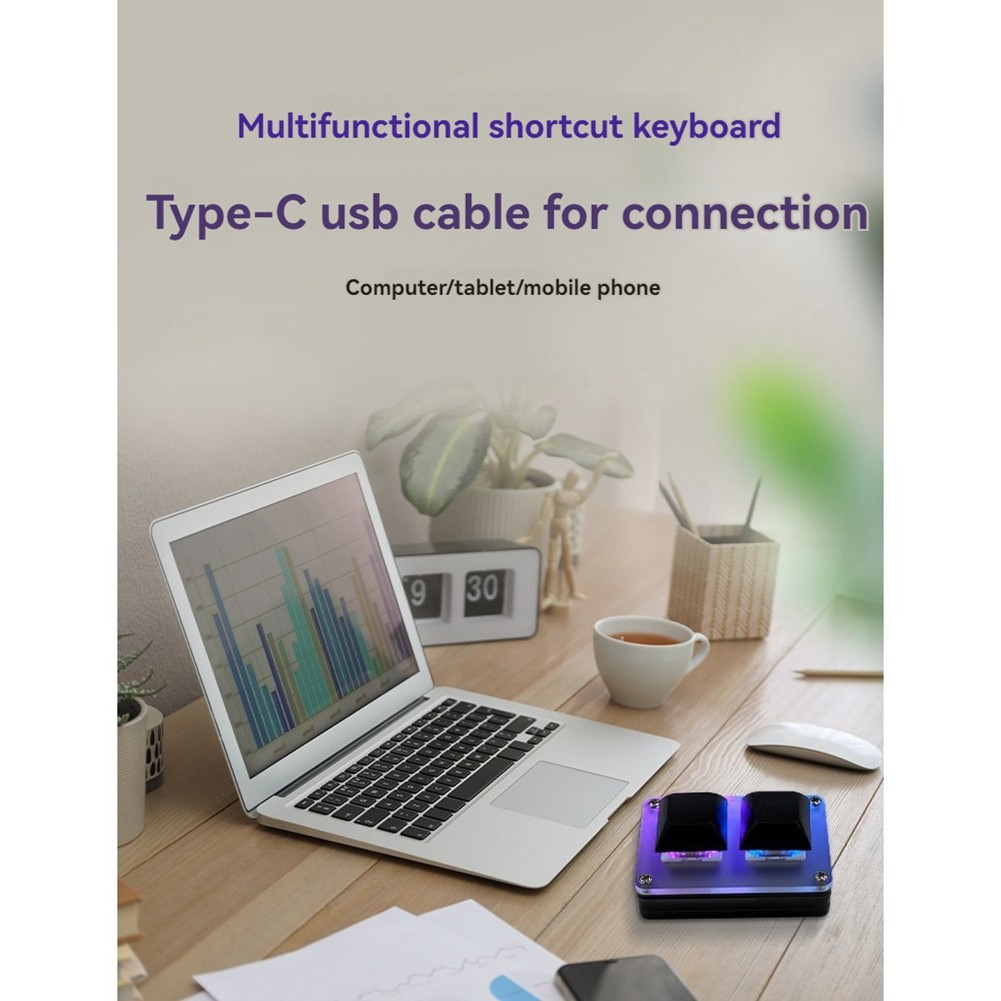 2 Key Mini Keyboard for Copy and Paste, Programmable User De9801