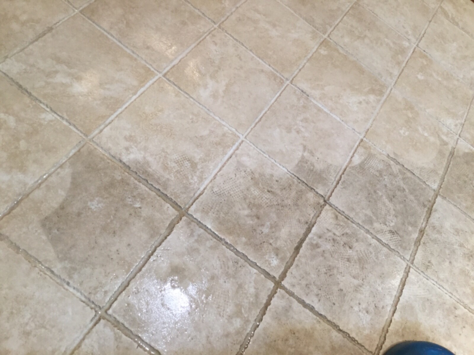 Carpet / tile and grout cleaning equipment