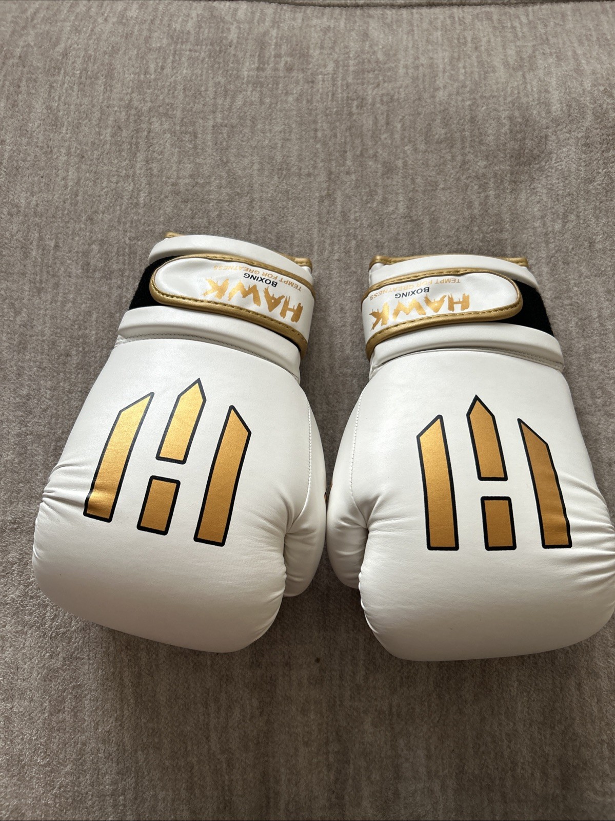 Hawk Sports B-92 Boxing Gloves 12 Oz