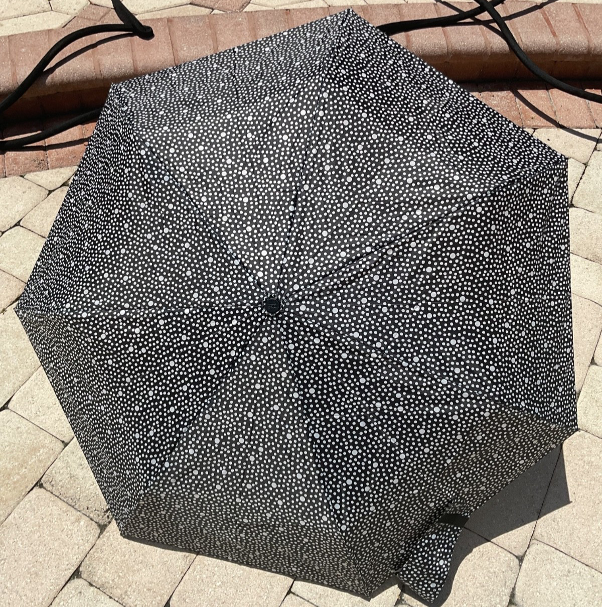 TOTES UMBRELLA  BLACK WHITE DOTS 42 iNCH AUTO OPEN CLOSE LIFETIME WARRANTY NWT