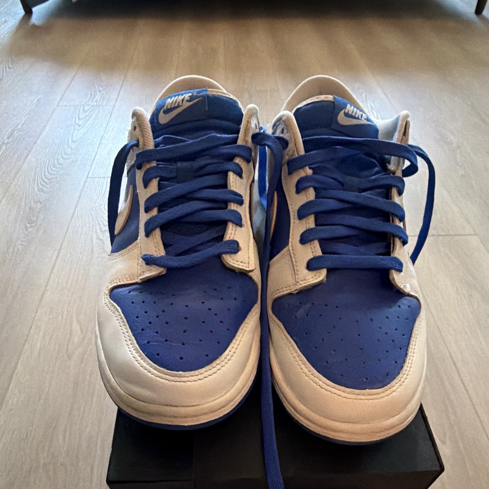 Nike Dunk Low Men's Blue/White Colorblock Leather Lace-Up Low Top Sneaker
