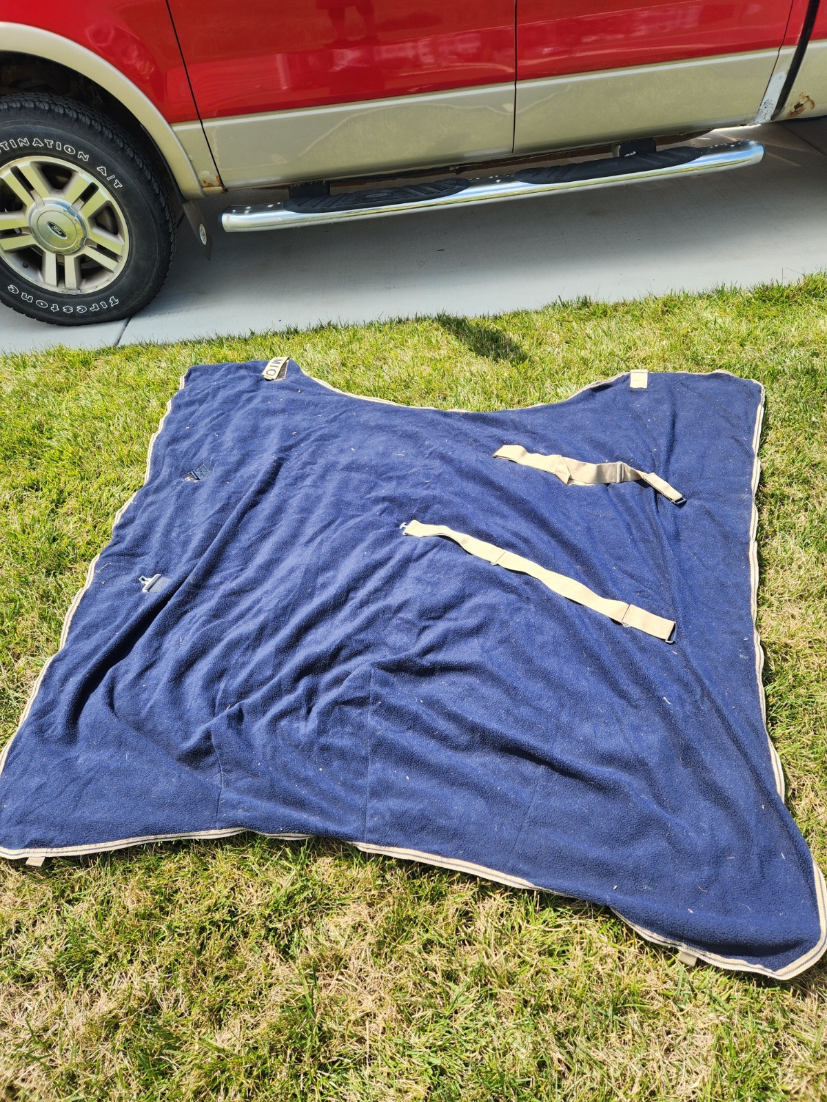 2 - 72" Horse Fleece Coolers/Blankets