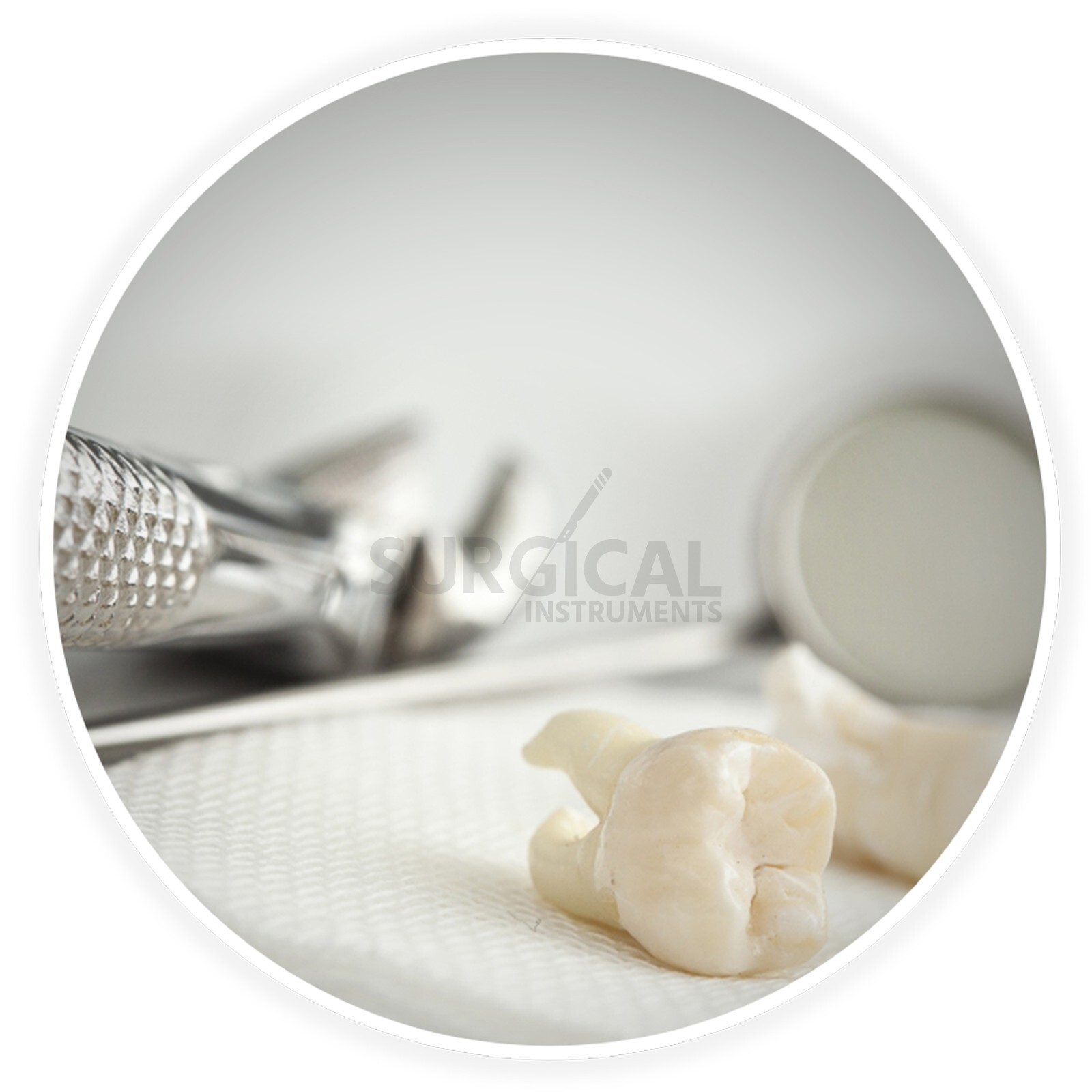 Extracting Forceps Dental Surgical Instruments # 222 Stainless German Grade