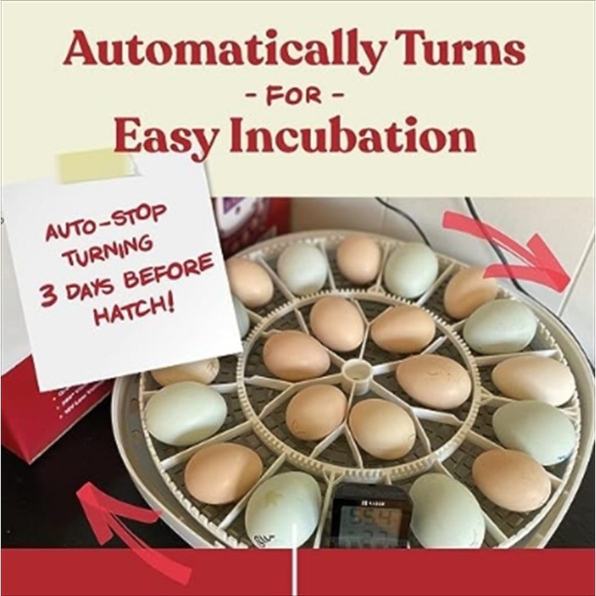 Nurture Right Egg Incubator for Hatching Chicks - Holds 22 Eggs BLLT
