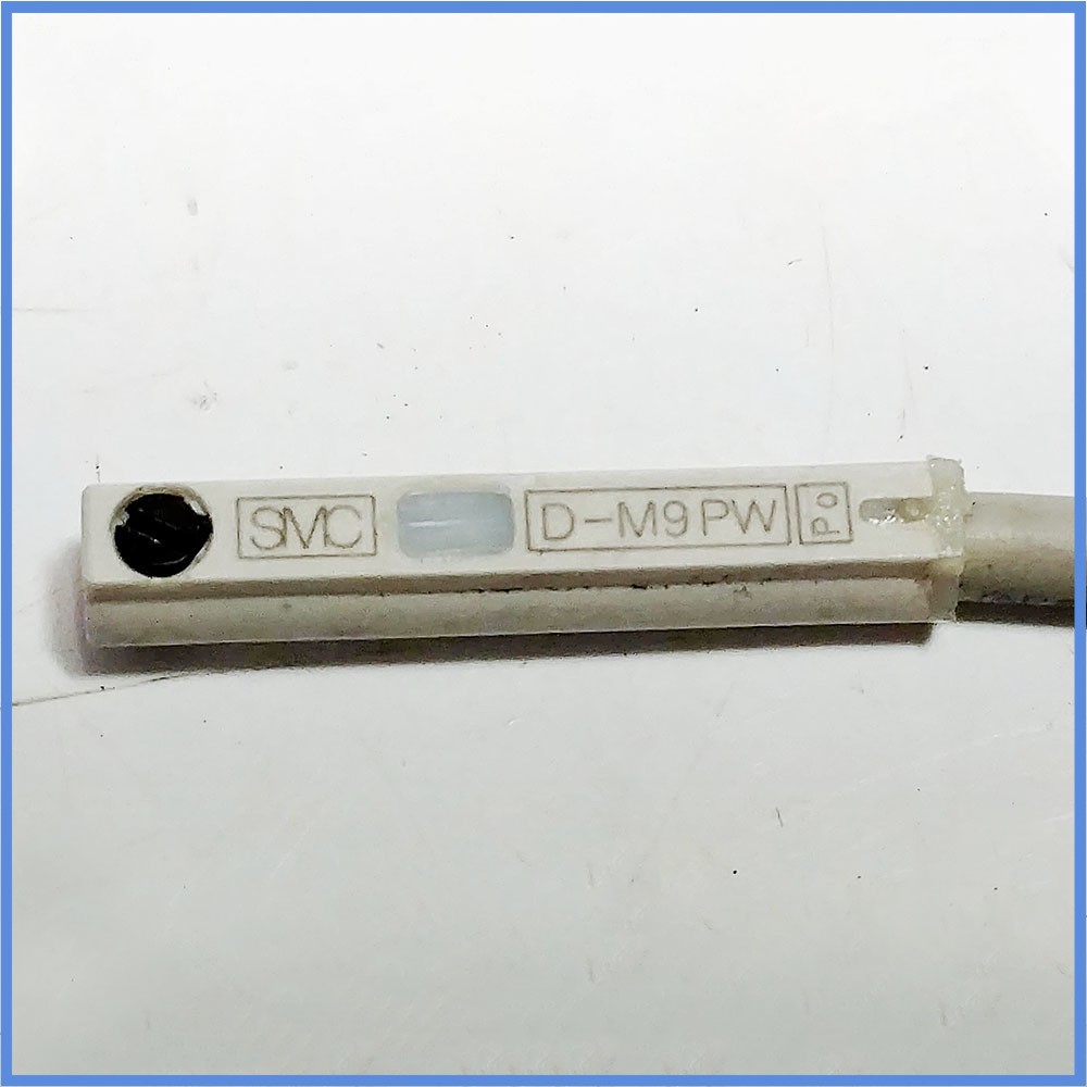 New In Box D-M9PW D-M9PWL D-M9PWM D-M9PWV D-M9PZ magnet switch SMC Fully Tested