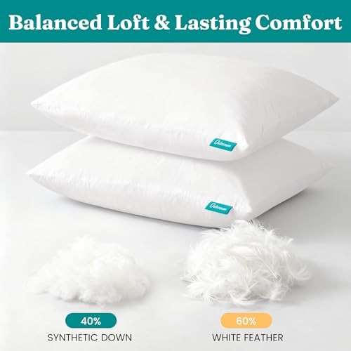 18x18 Feather Down Alternative Throw Pillow Inserts, 100% Cotton 18x18 Inch 2