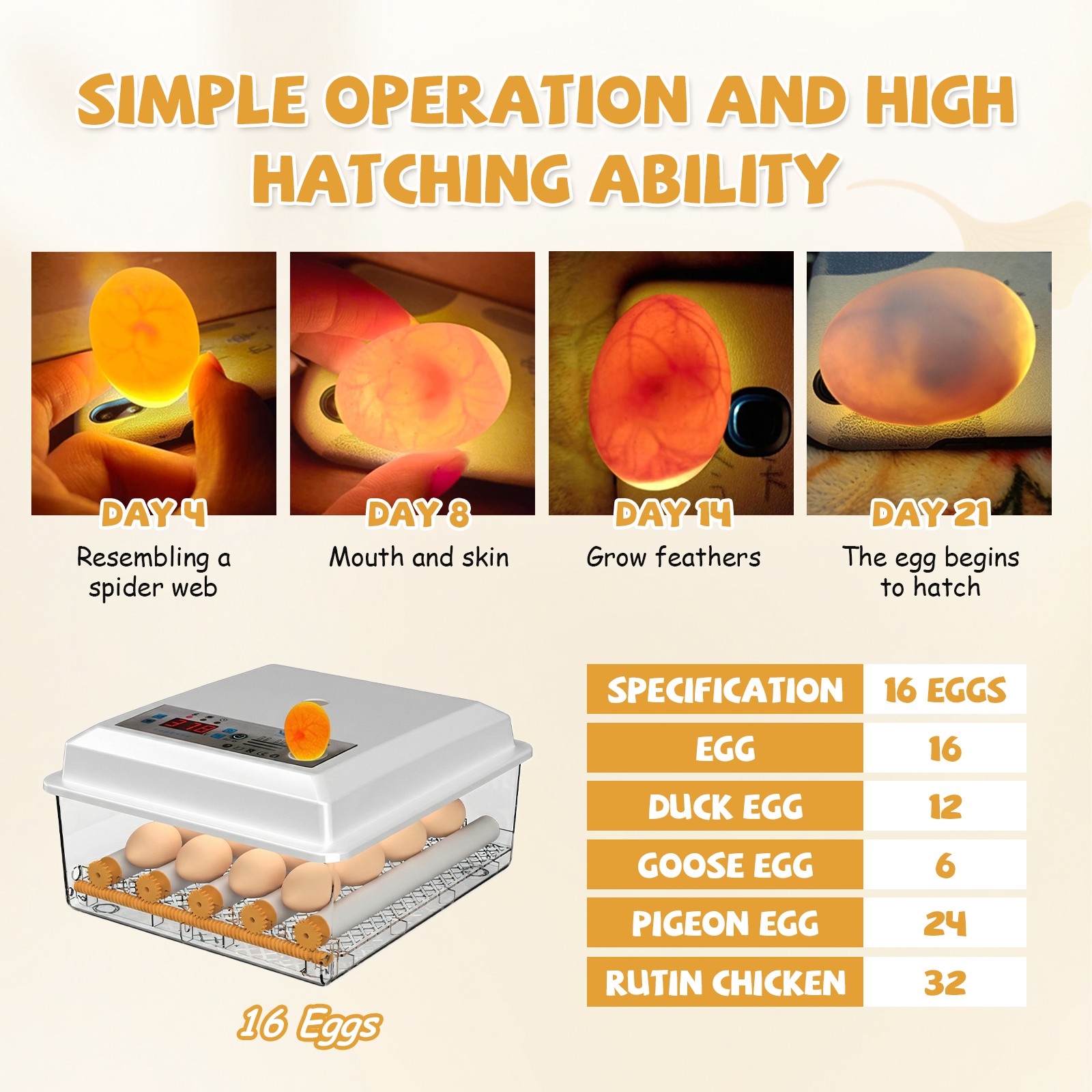 Egg Incubator for Hatching 16/36 Eggs Automatic Egg Turning Temperature Control