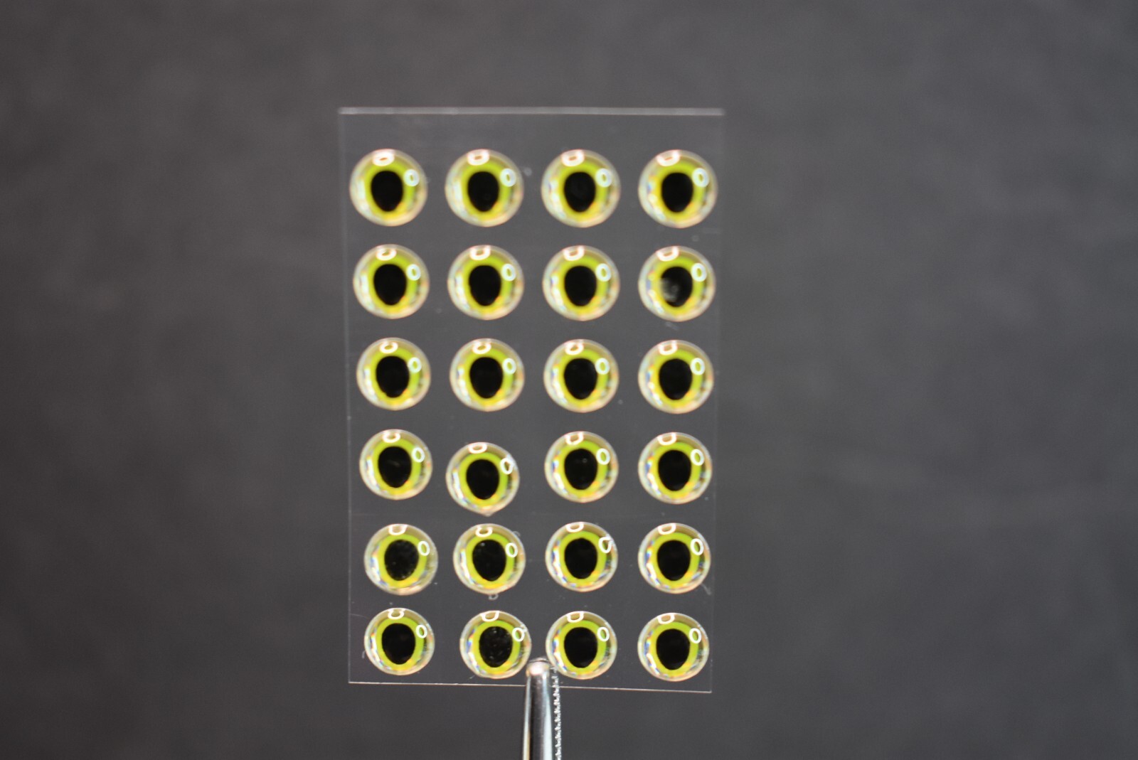 24  SILVER YELLOW  3D Soft Molded 3/16"  5mm  Eyes Fly Tying Lures