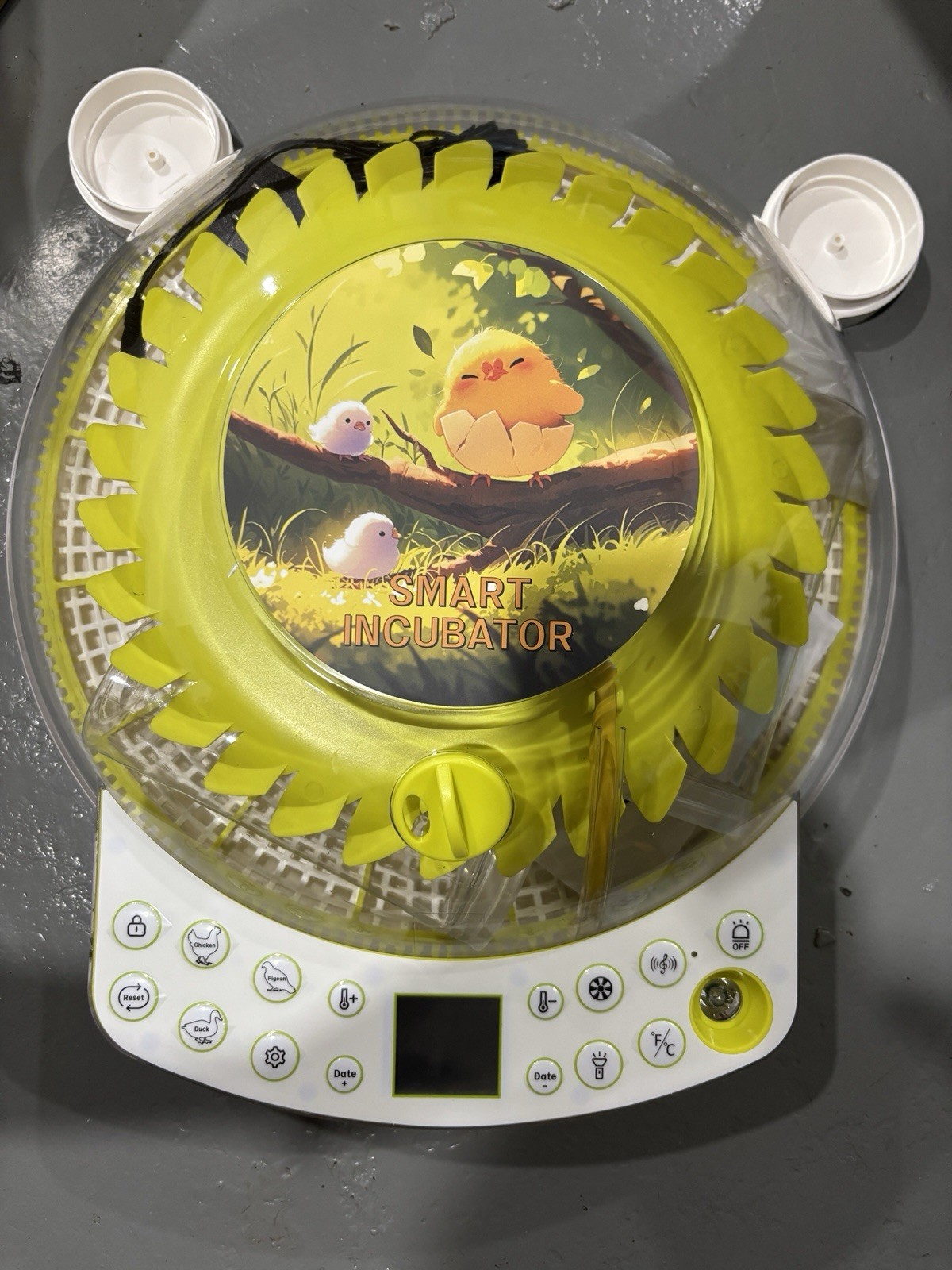 22 Egg Incubator for Hatching Eggs, Temperature Control, Humidity Control