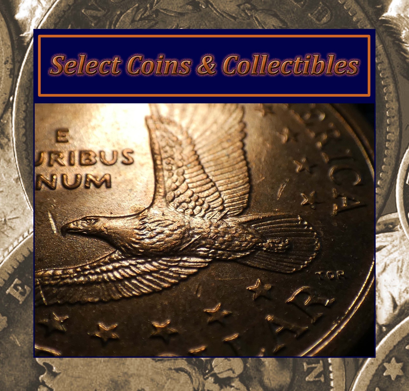 2000-P Sacagawea Dollar "Wounded Eagle" FS-901 Error Coin #3604
