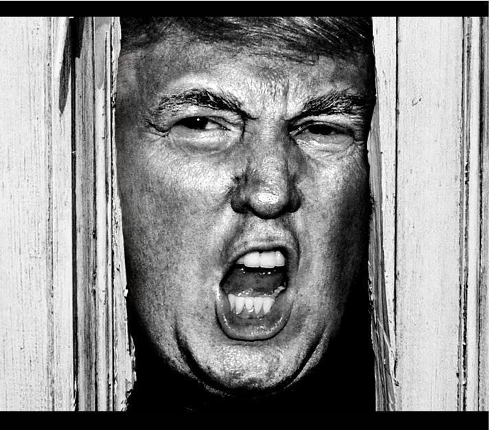 Heeere's Donny! # 10 - 8 x 10 Tee Shirt Iron On Transfer Trump