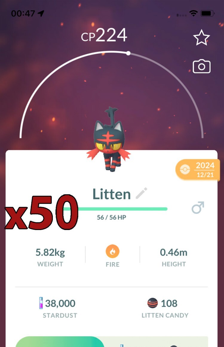 50x Litten Pokemon Bundle !! Good Chance of Lucky and Good IVs !! Go