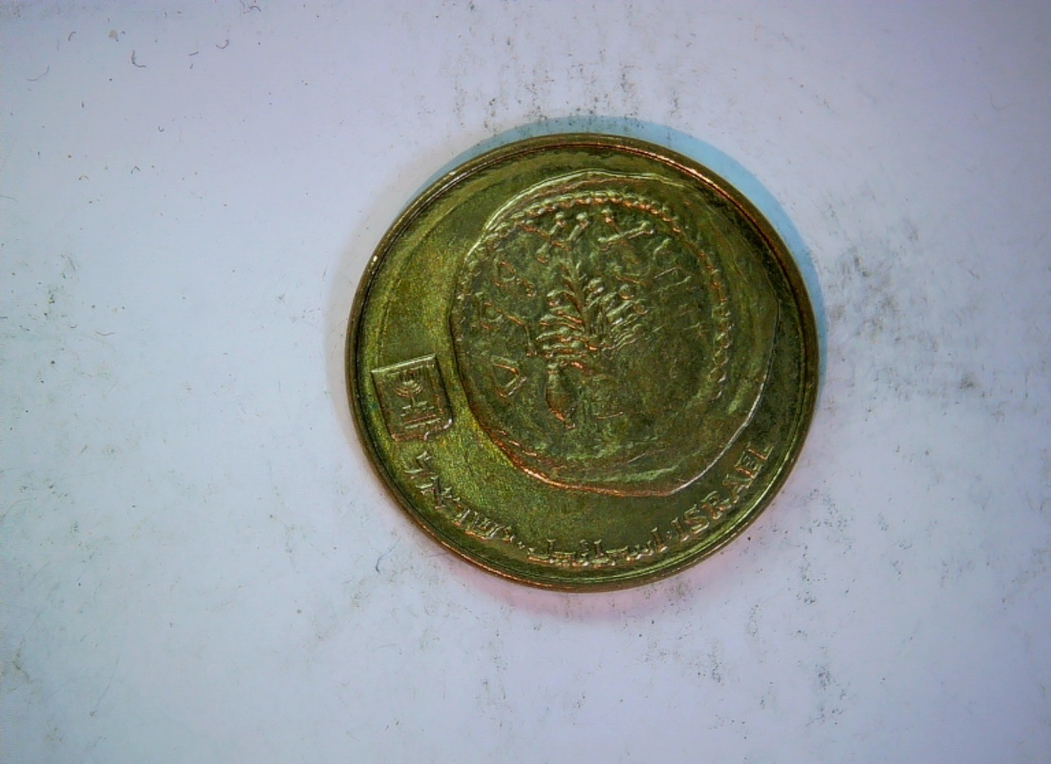 Israel 5 New Agorot Israel New Agora (palm tree) Coin