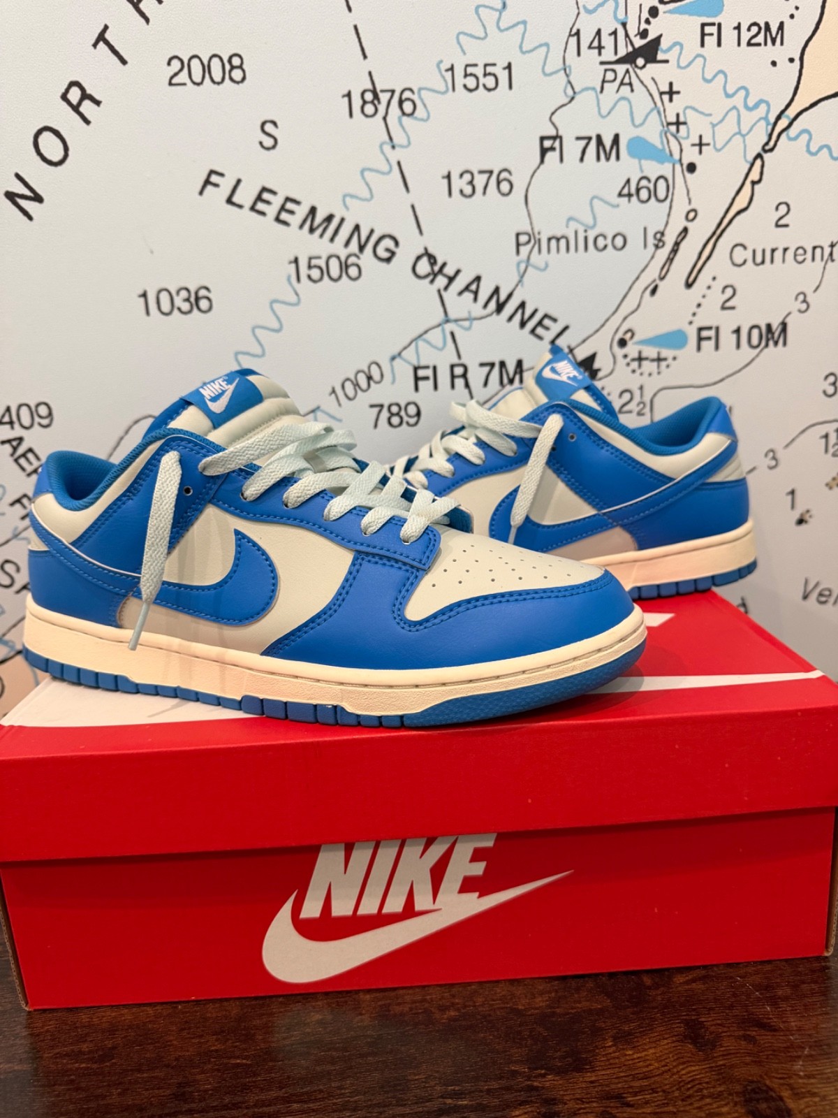 Size 10.5 - Nike Dunk Low Detroit Lions