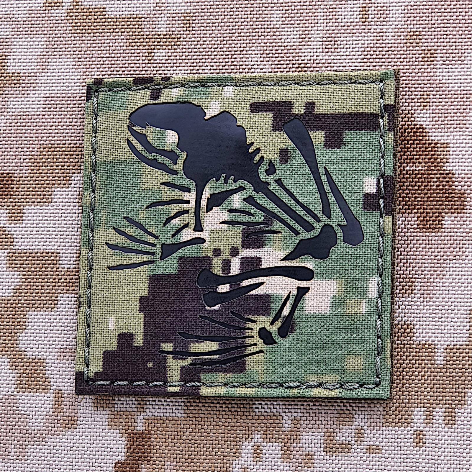 Frog Skeleton Bone 3x3 IR AOR2 NSW Type 3 DEVGRU NSWDG Navy SEALs patch