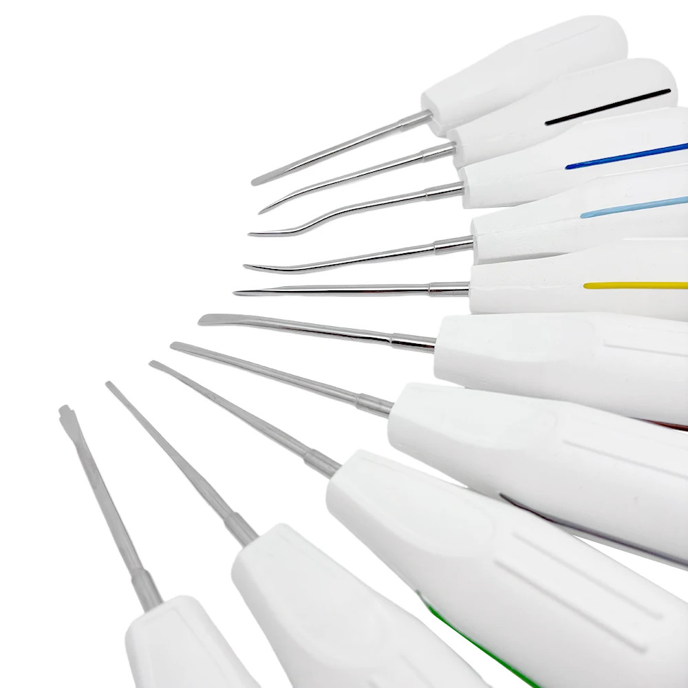 10Pcs/set Dental Luxating Lift Curved Root Elevator Kit Dentistry Tools