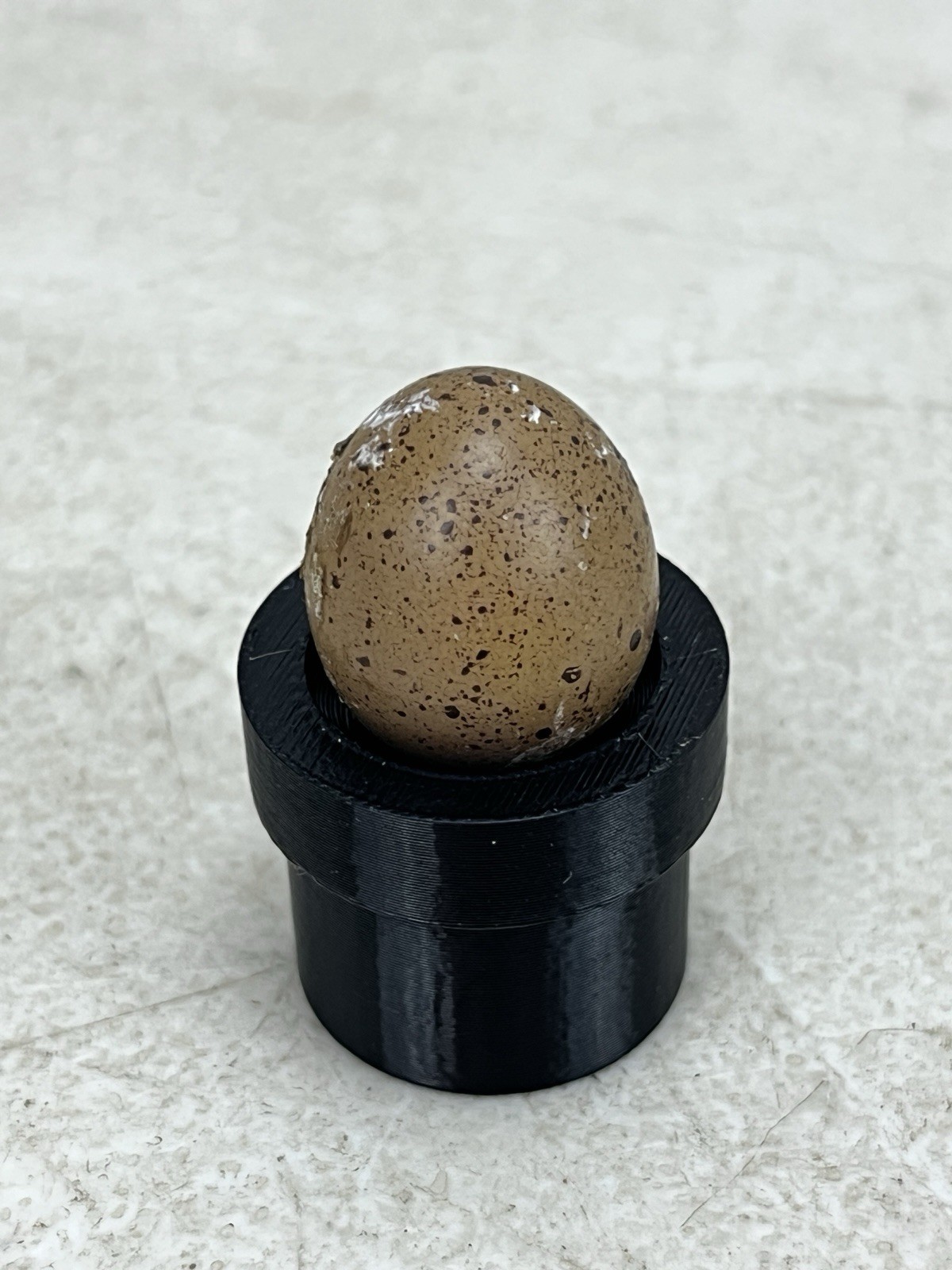3D Printed Button Quail Egg Adapter For Built-in Brooder Incubator Candler Light