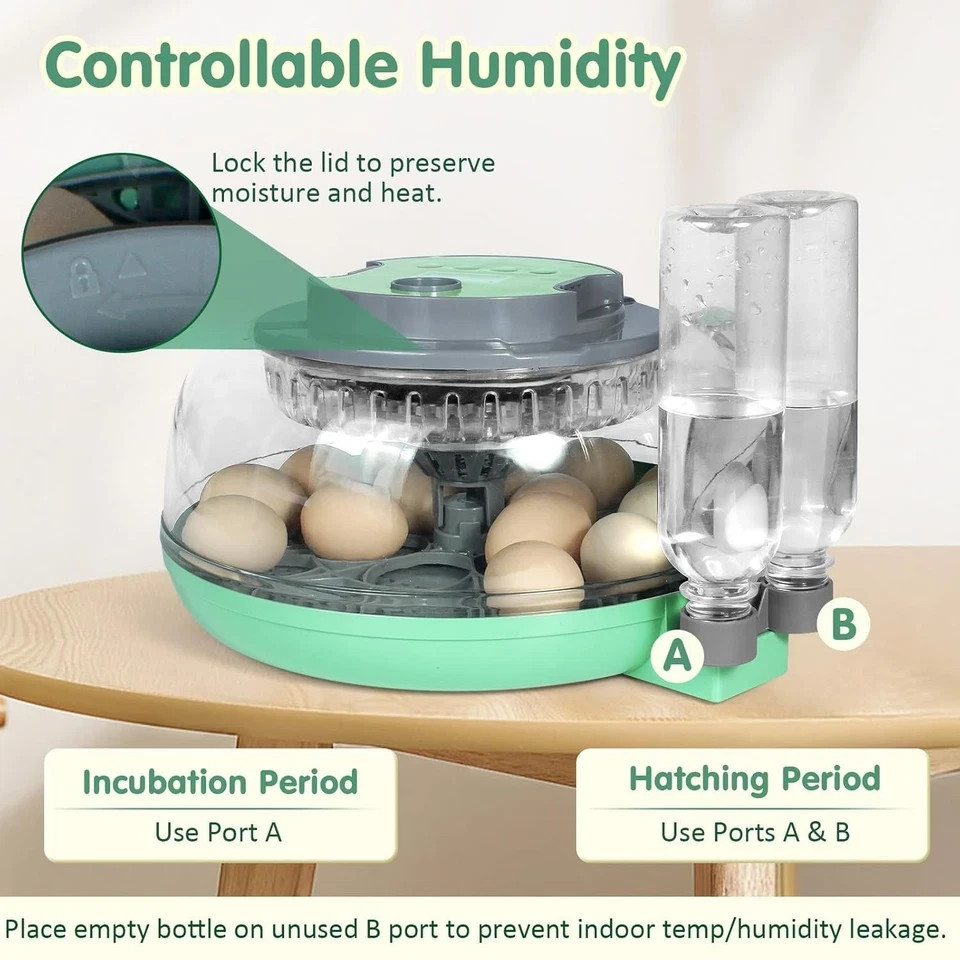 Incubators for Hatching Eggs,18 Egg Incubator with Automatic Egg Turning and ...