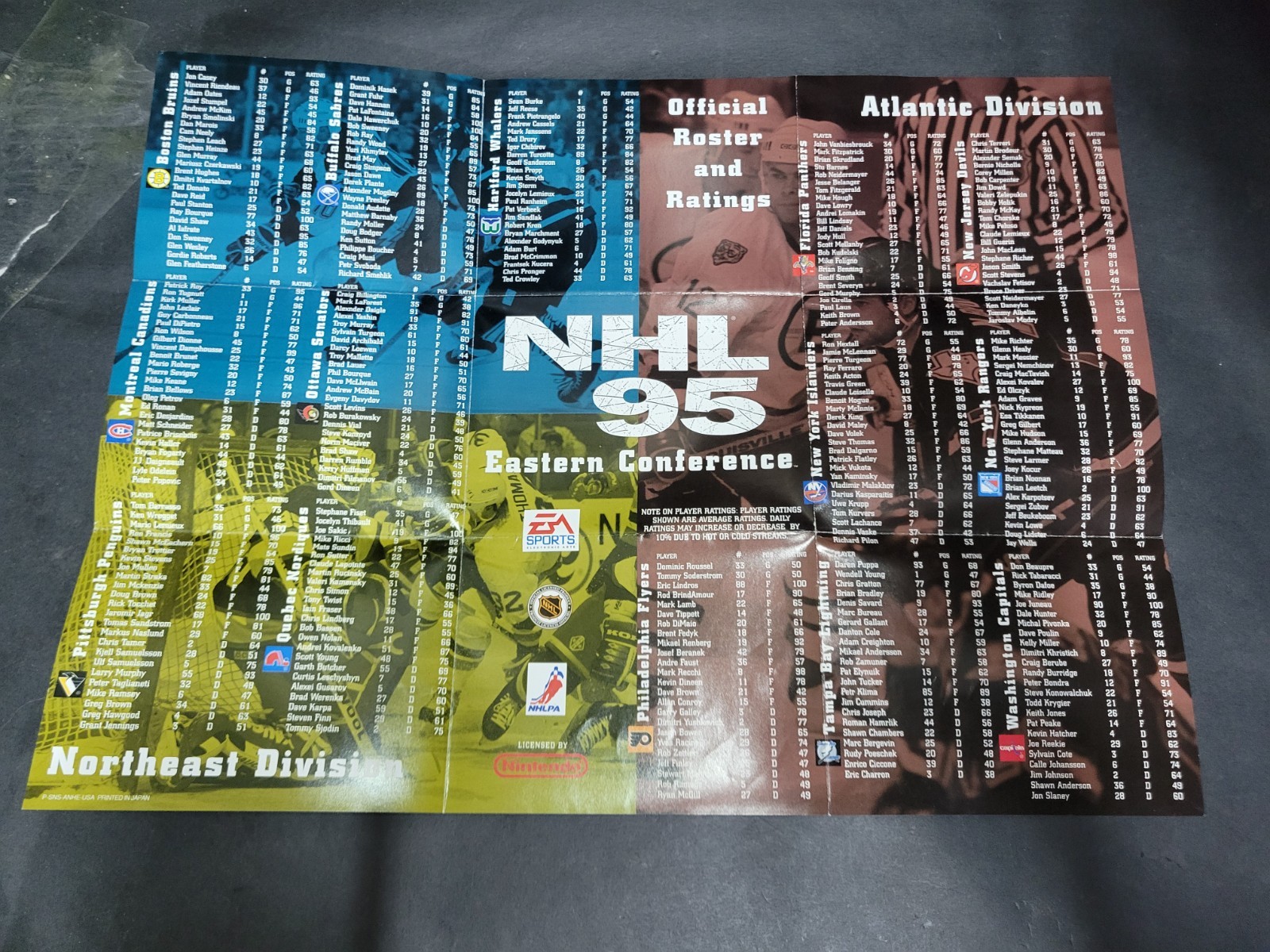 EA Sports NHL 95 Hockey Game Official Roster and Ratings Poster Insert
