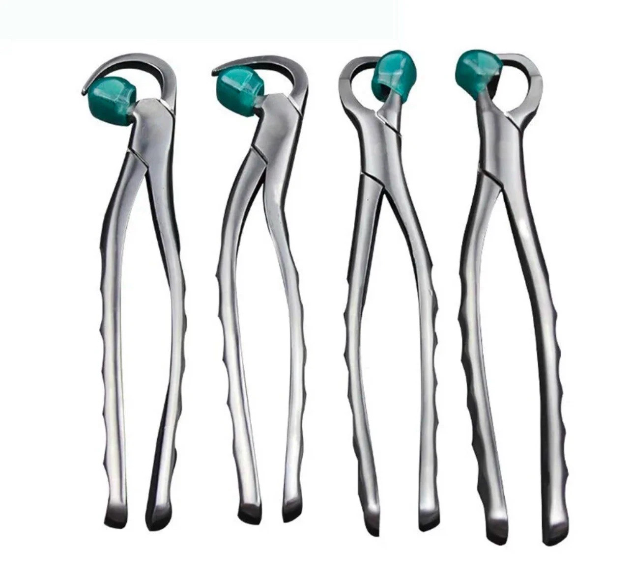 Premium Dental Extraction Forceps Standard Series Set of 4 Pcs (Free 25 Bumpers)