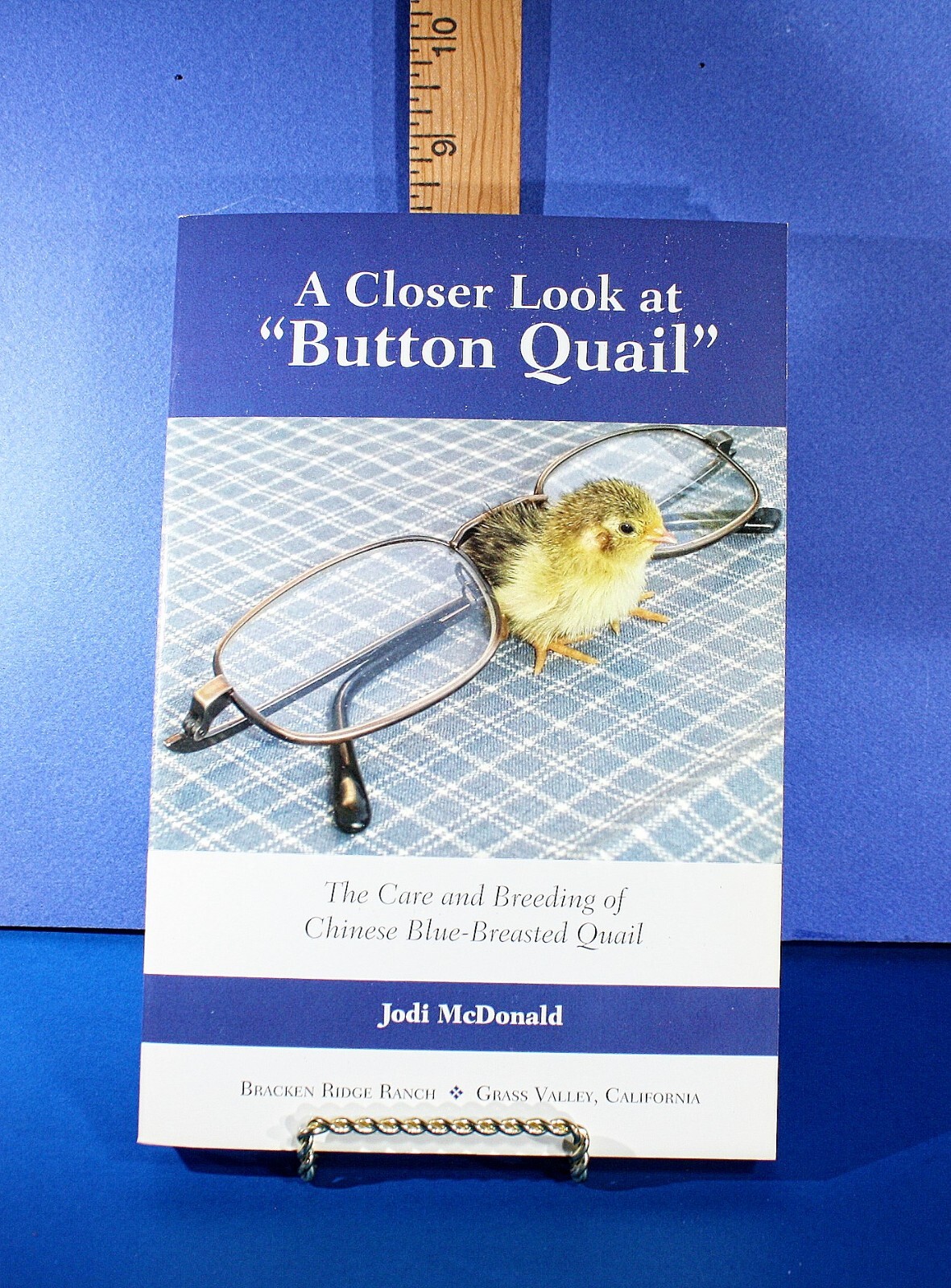 A Closer Look at "Button Quail" by Jodi McDonald,  Note: Publishers Flaws