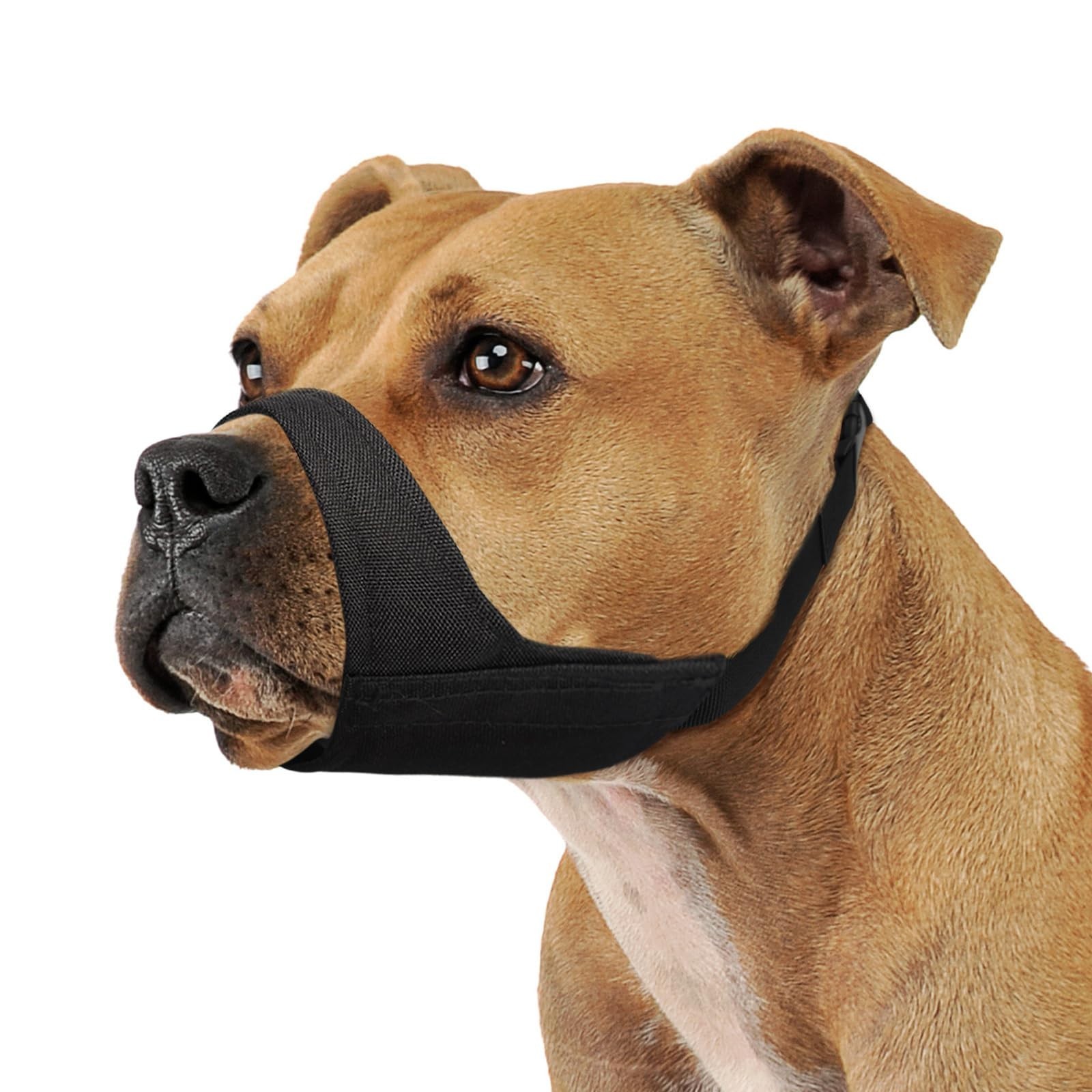 1070575205 Mayerzon Pitbull Muzzle, Soft Muzzle for Short Snout Dogs   XXL