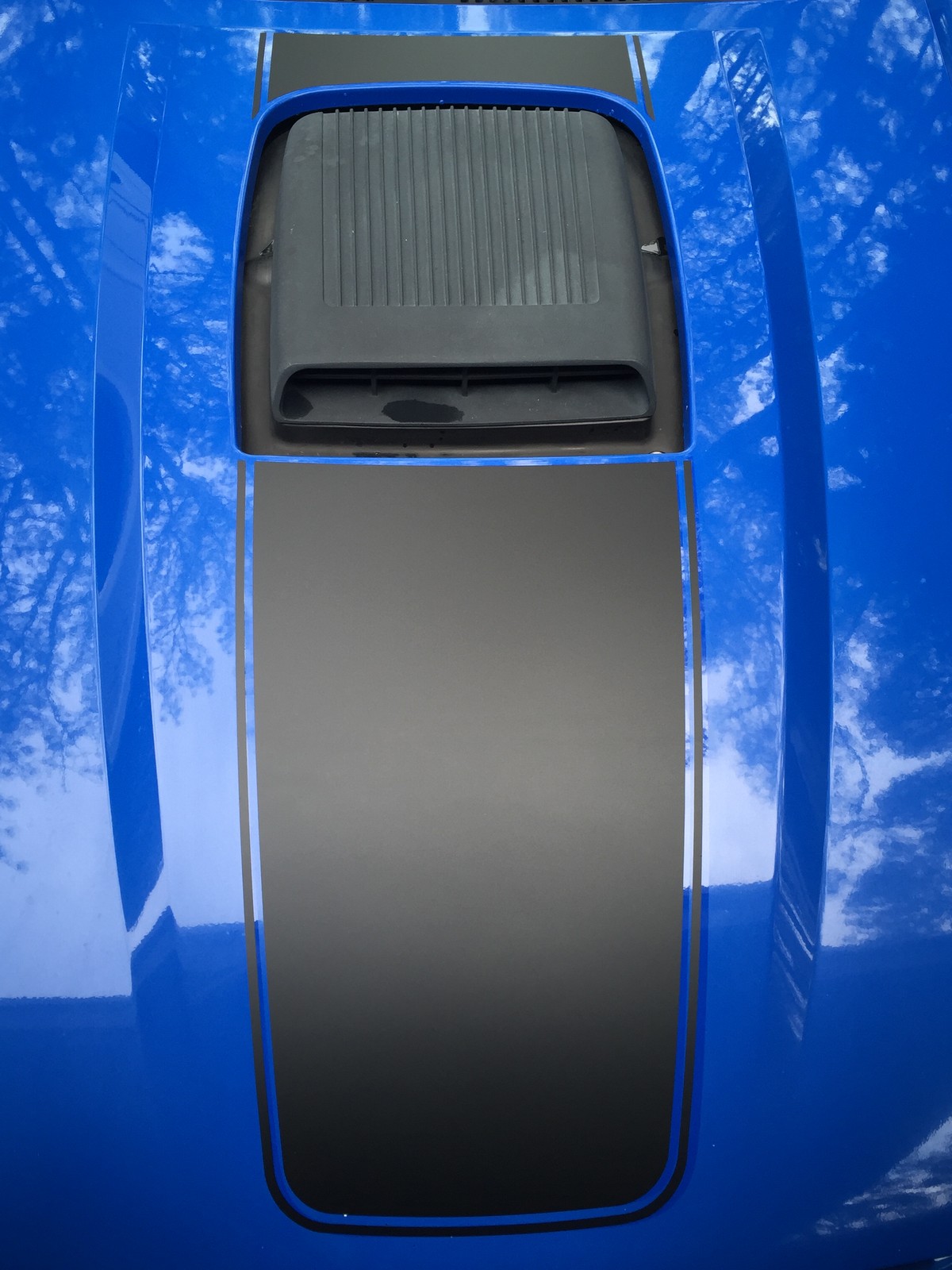 2003 & 2004 Mach 1 Hood Center Decal (For OEM Hood w/shaker as shown only)