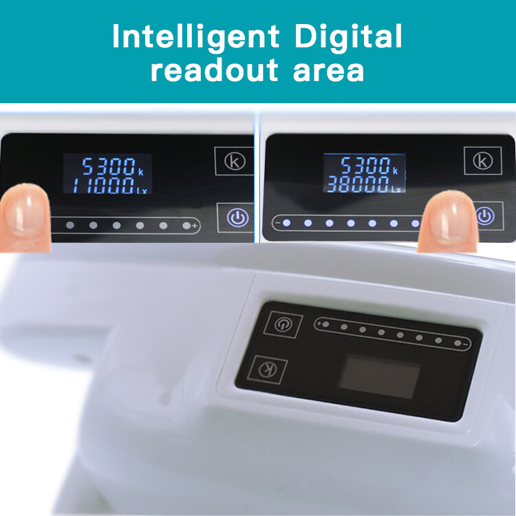 Dental Implant Light Operating Light 8 LEDs Sensor Light with Ceiling Mount Arm