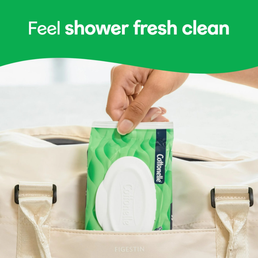 Gentle Plus Flushable Wet Wipes, 4 Flip-Top Packs