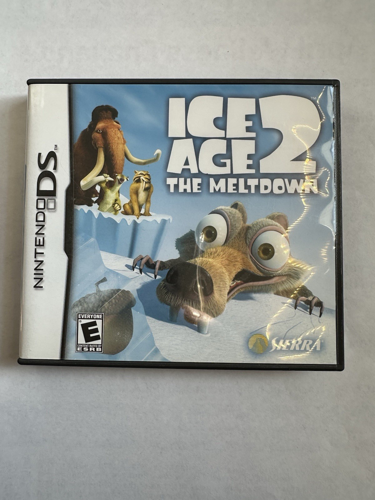Ice Age 2 Case and Manual Only Nintendo DS Authentic