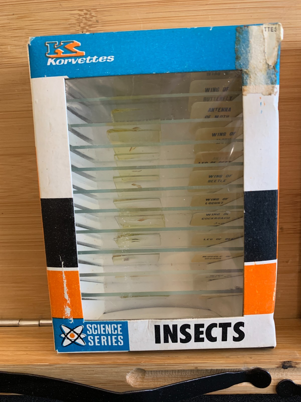 Korvettes Science Series Microscope Slides Box (2) Insects Mould Mold Yeast