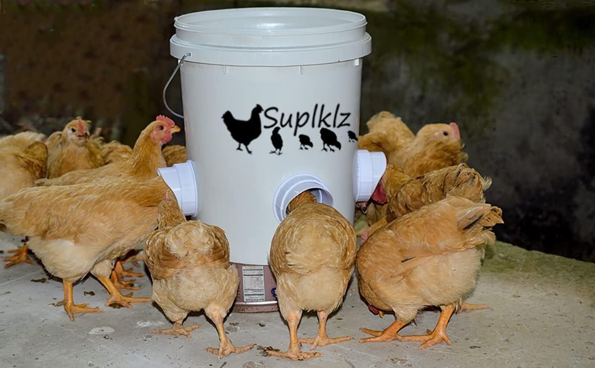 4-Port Gravity Chicken Feeder with Hole Saw - Durable & Mess-Free Solution