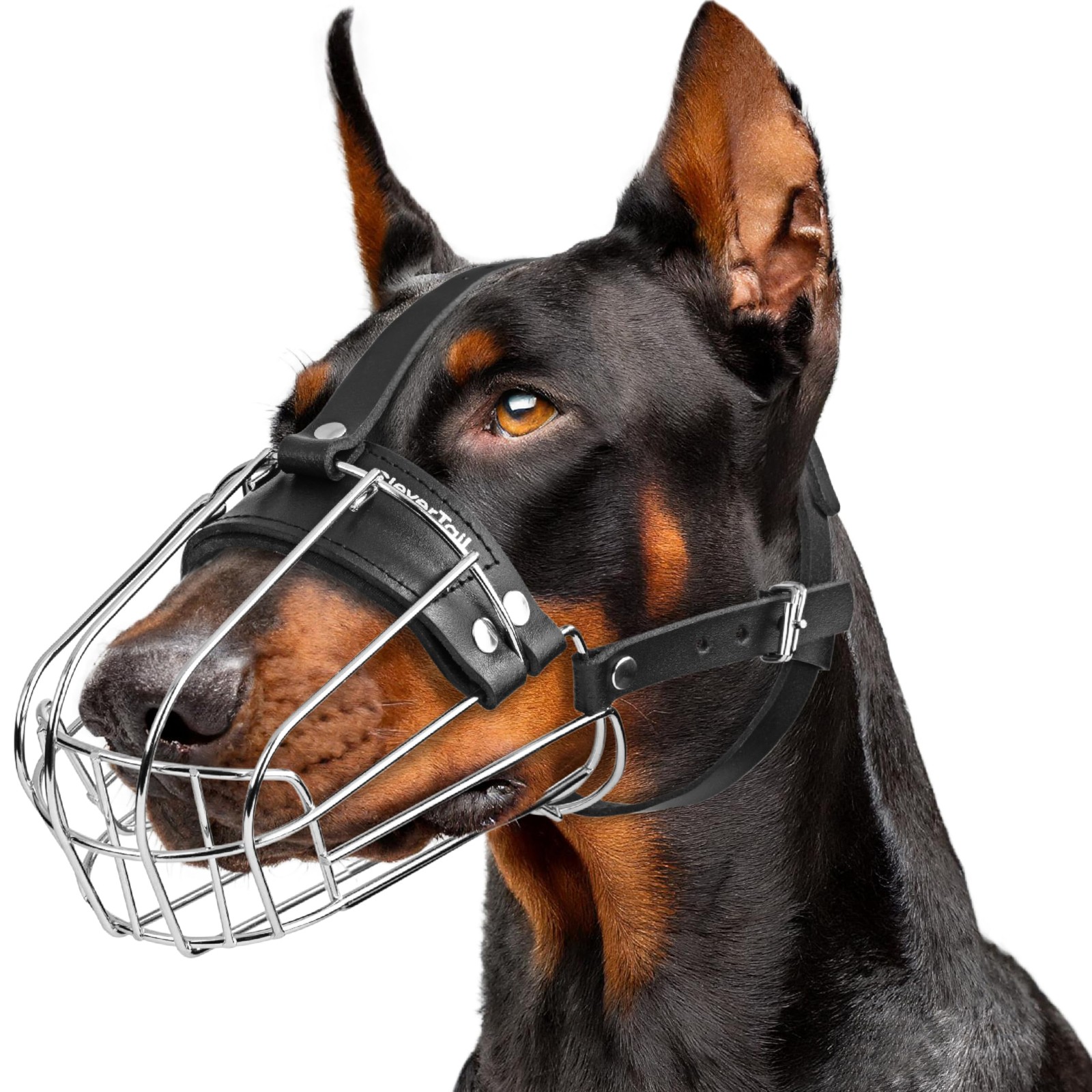 CleverTail Metal Doberman Muzzle for Large Large, Silver Wire & Black Straps