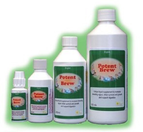 POTENT BREW LIQUID SUPPLEMENT FOR BIRDS - 250ML-THE BIRDCARE CO