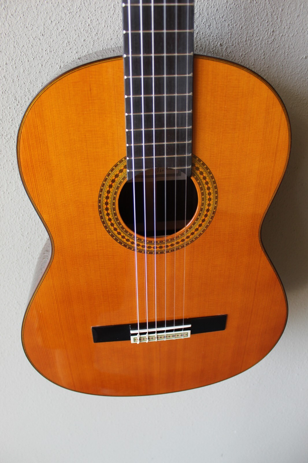 Brand New Yamaha GC22C Nylon String Classical Guitar with Softshell Case