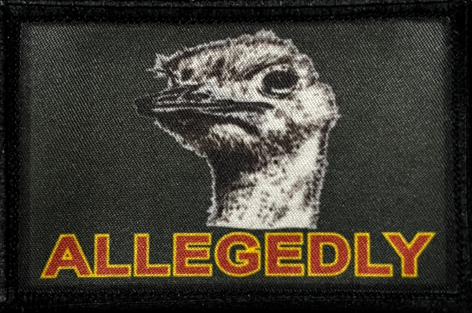 Pickleball Court Morale Patch | 2x3 hook and loop tactical patch