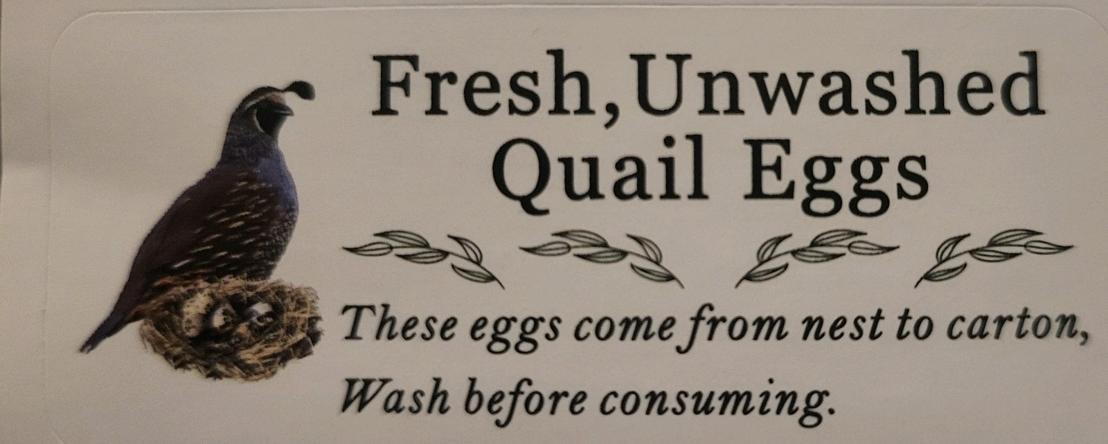 Quail Hatching Eggs  3 Dozen  For Sale  Brown  Jumbo Quail