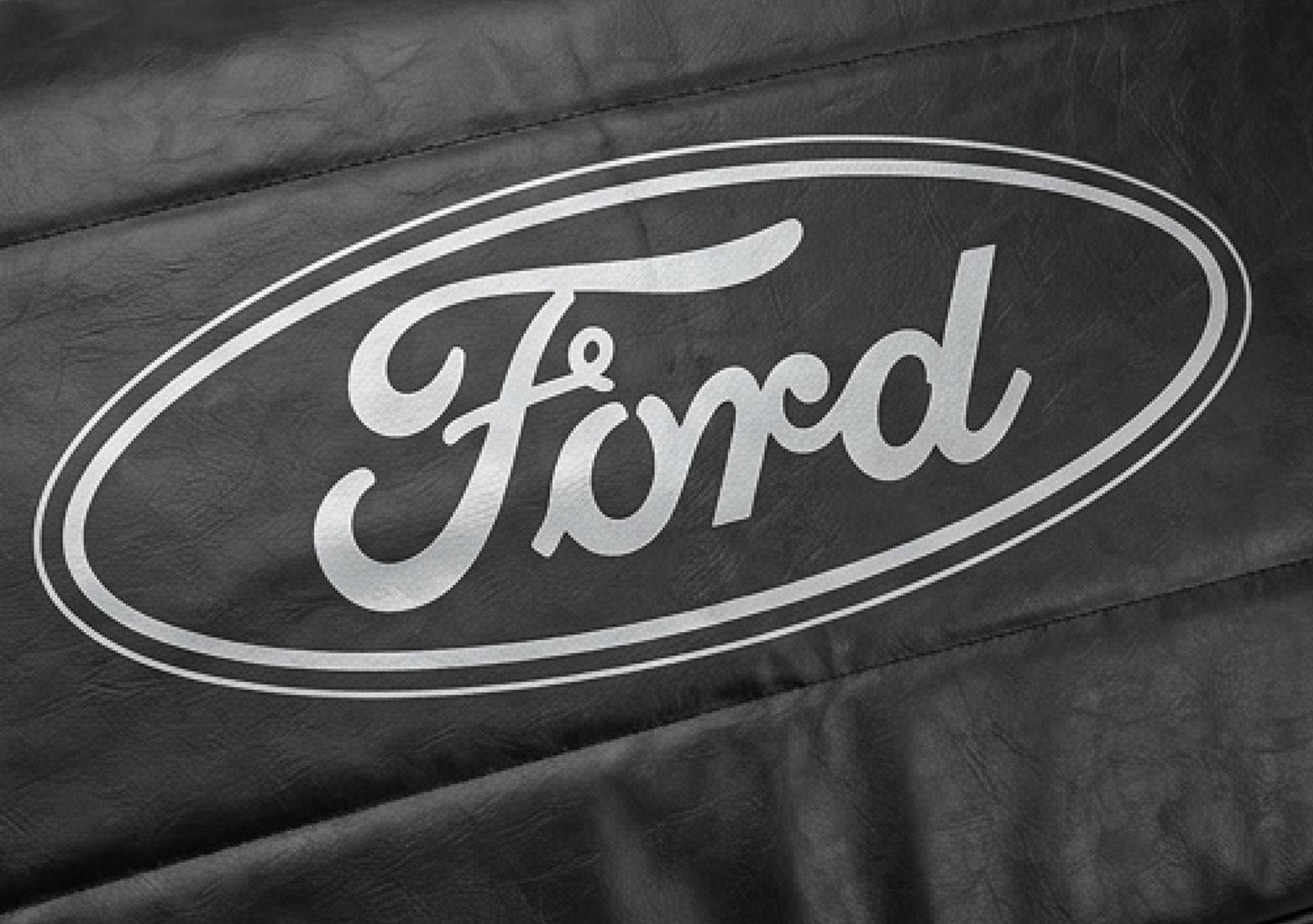Ford 8C34-19A413-AA OEM Winter Grill Cover USA F-Series 6.4L Diesel 2008–2010