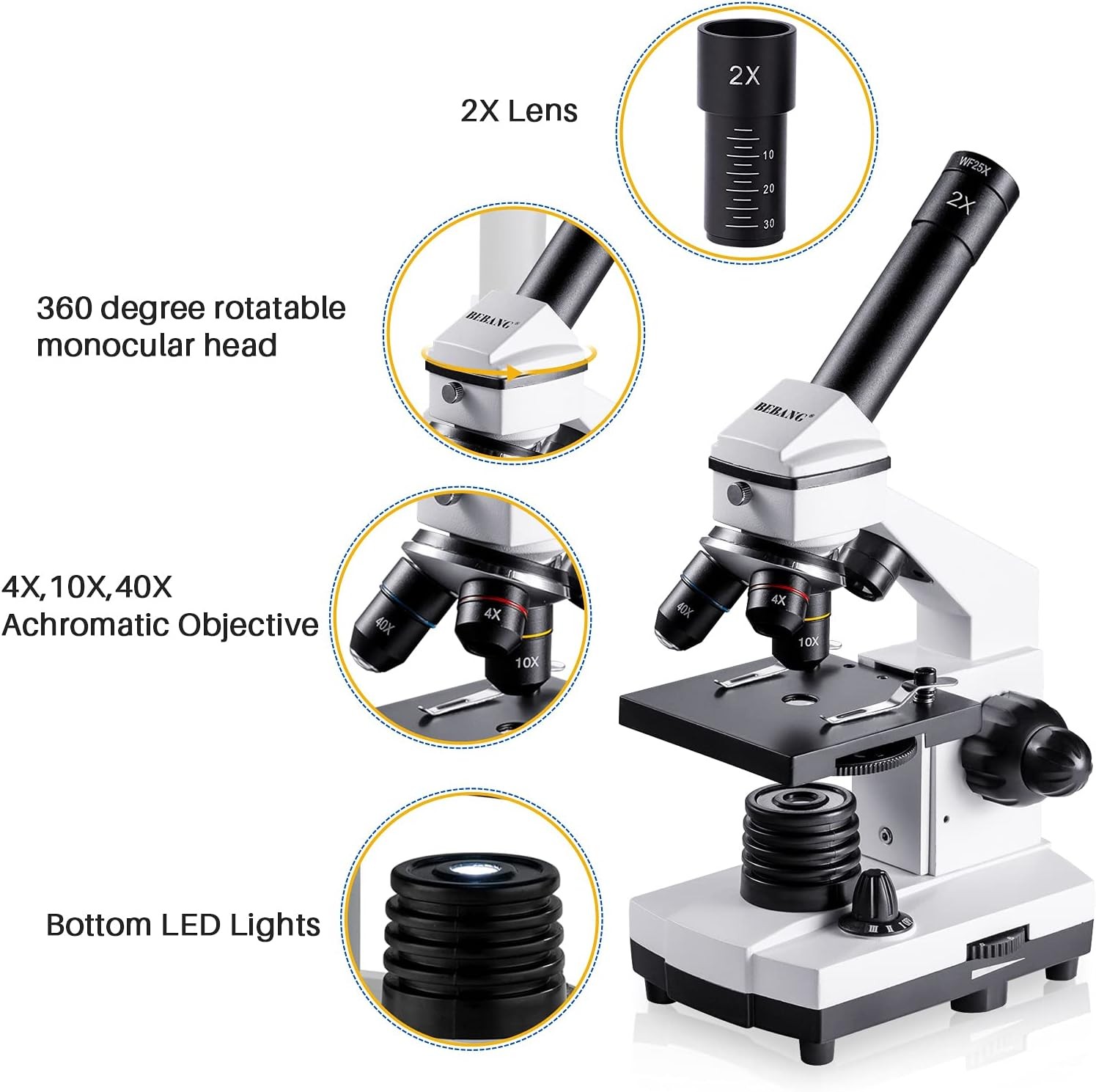 Microscope Adults Kids 100X-2000X Compound Microscope W/ Microscope Slides