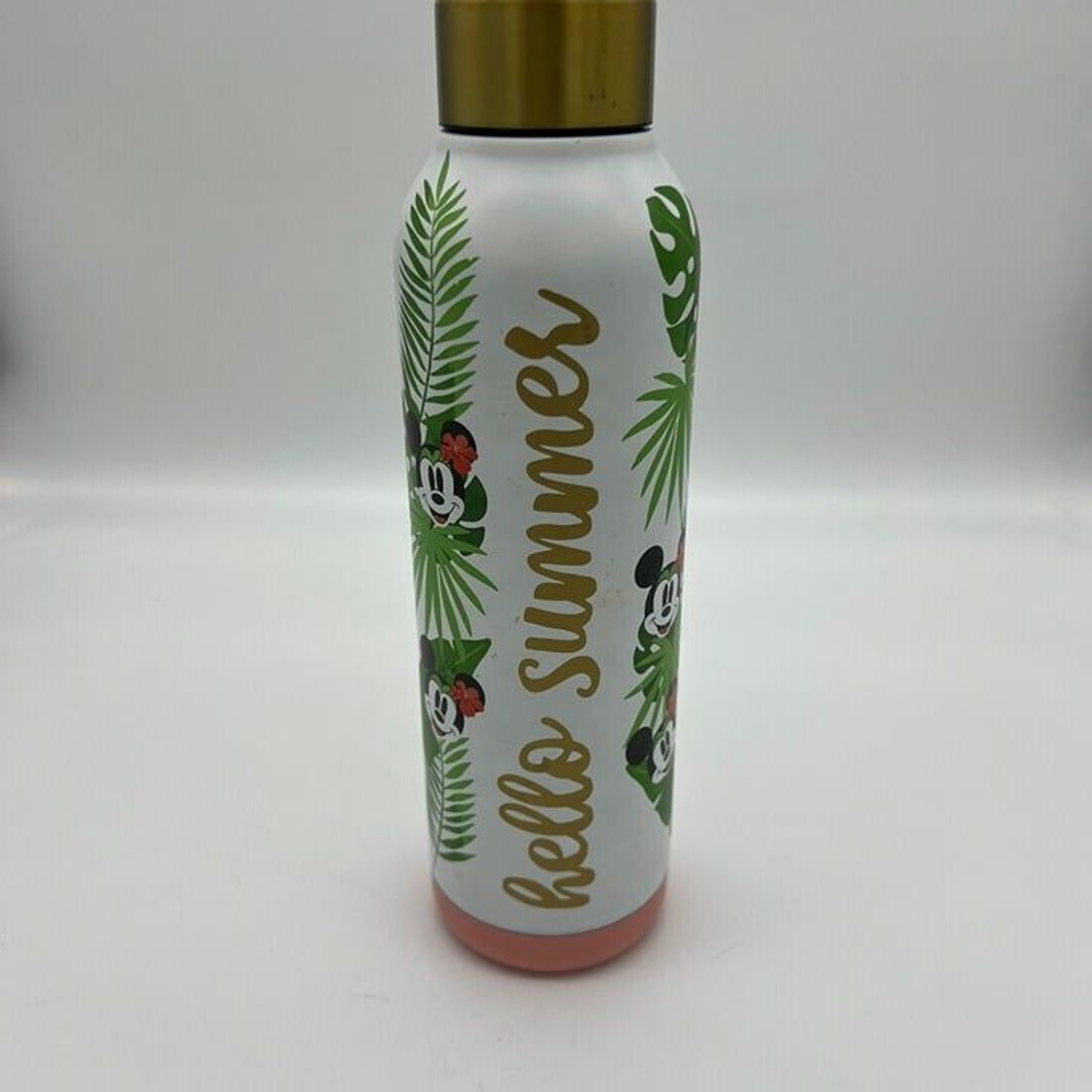 NWT Disney Tropical metal water bottle