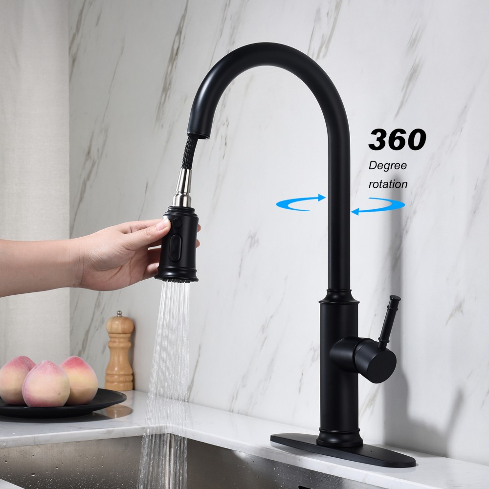 Kitchen Faucet with Pull Out Sprayer Single Handle High Arc Stainless Steel