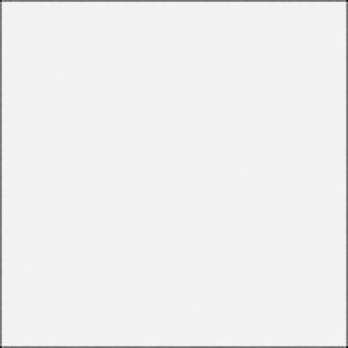 Rosco E-Colour #250 1/2 White Diffusion (21x24" Sheet)