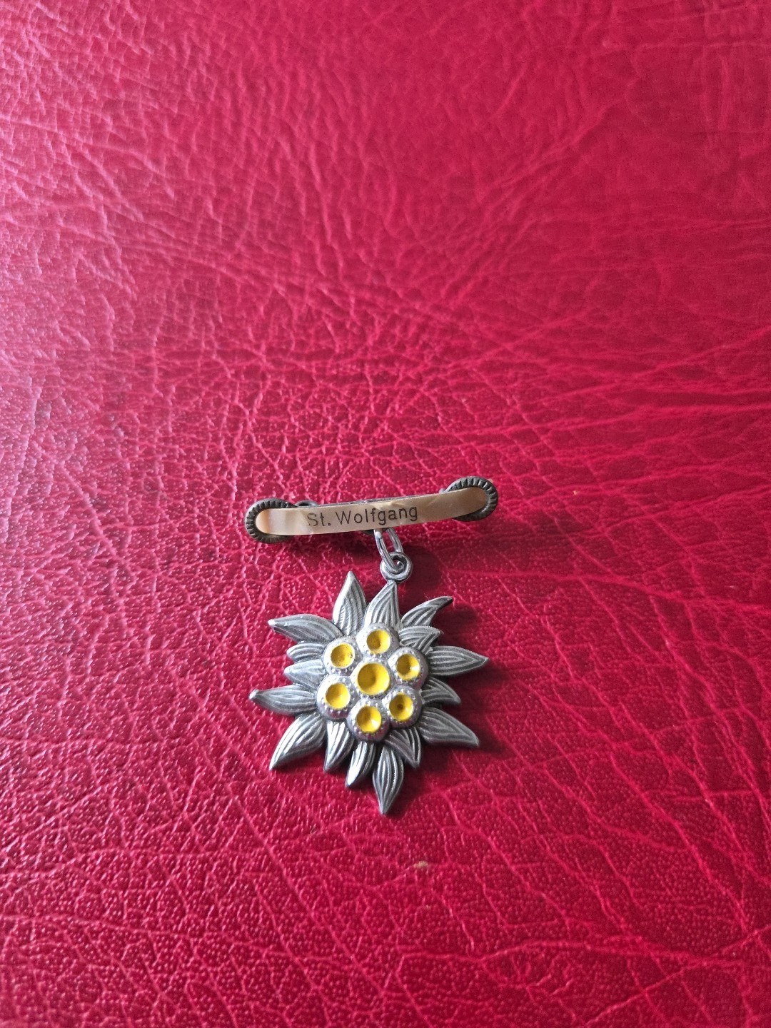 Vintage Pin Hatpin Hiking Pin Brooch St Wolfgang