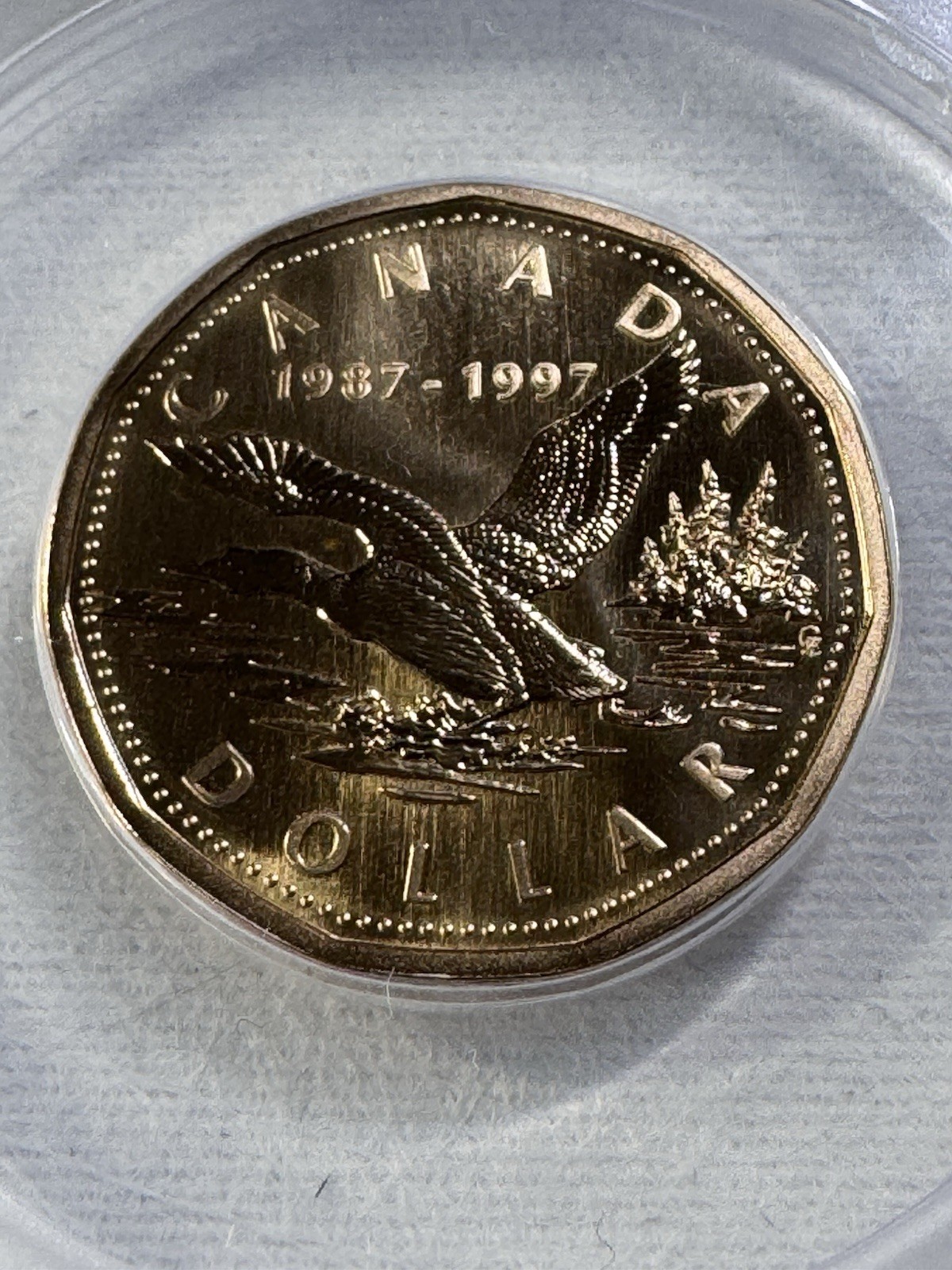 1997 Canada $1 10th Anniversary Loonie Graded SP 67 by ANACS Specimen