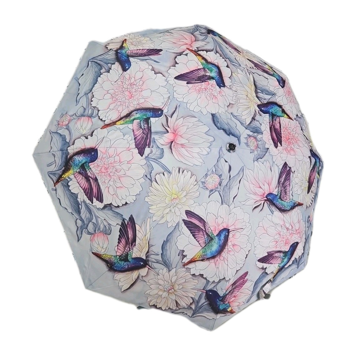 Anuschka Rainbow Birds Auto Open Close Umbrella UV 50+ Floral Bird NWT