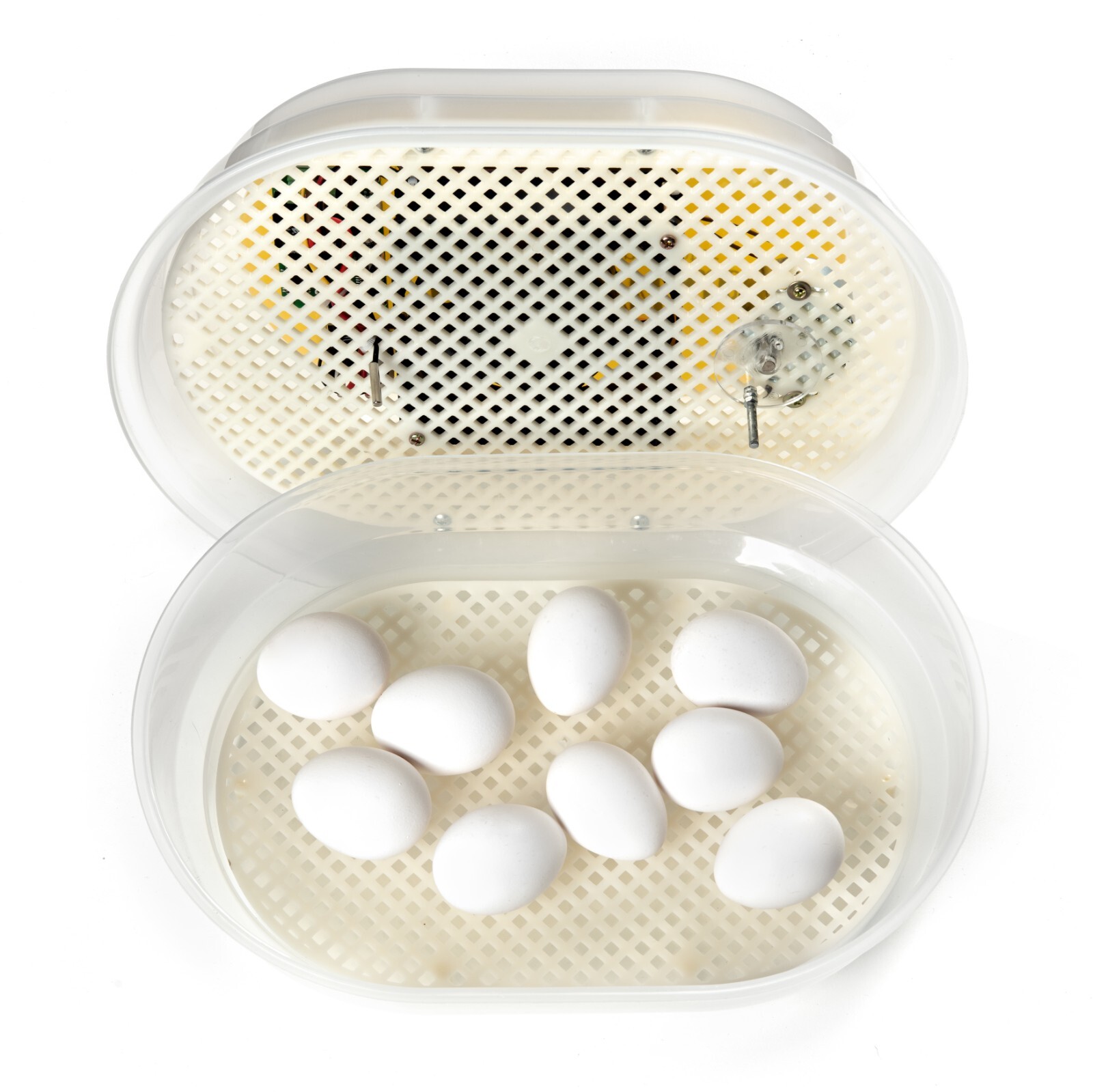 HatchMate™ Automatic Egg Incubator w/ Humidity For 9-12 Eggs Hatch Chicken Quail