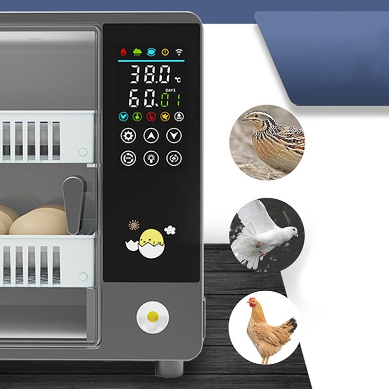 24 Eggs Incubator Temperature Control Automatic Digital Chicken Egg Hatcher 50W